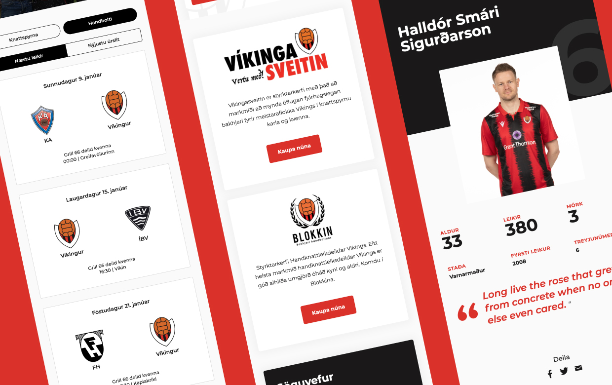 v-kingur-avista-digital